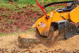 Best Lawn Irrigation Installation and Maintenance  in Embreeville, TN
